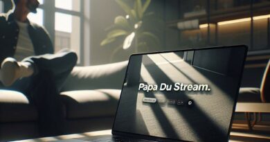Papa du stream : la meilleur plateforme de streaming ?
