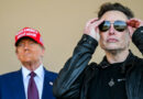 Elon Musk Trump